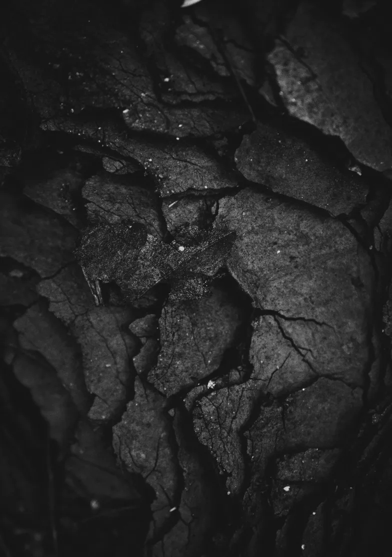 Thank God for Carbon ~ in this life and the life to come