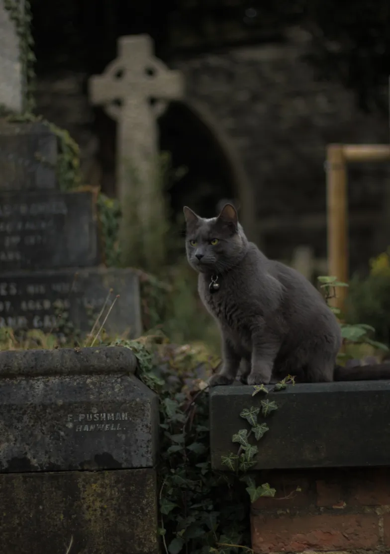 The Parable About How To Have Friends Beyond The Grave